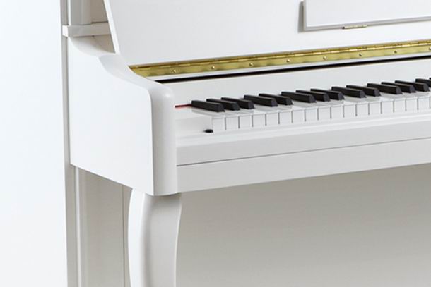 SD123白色